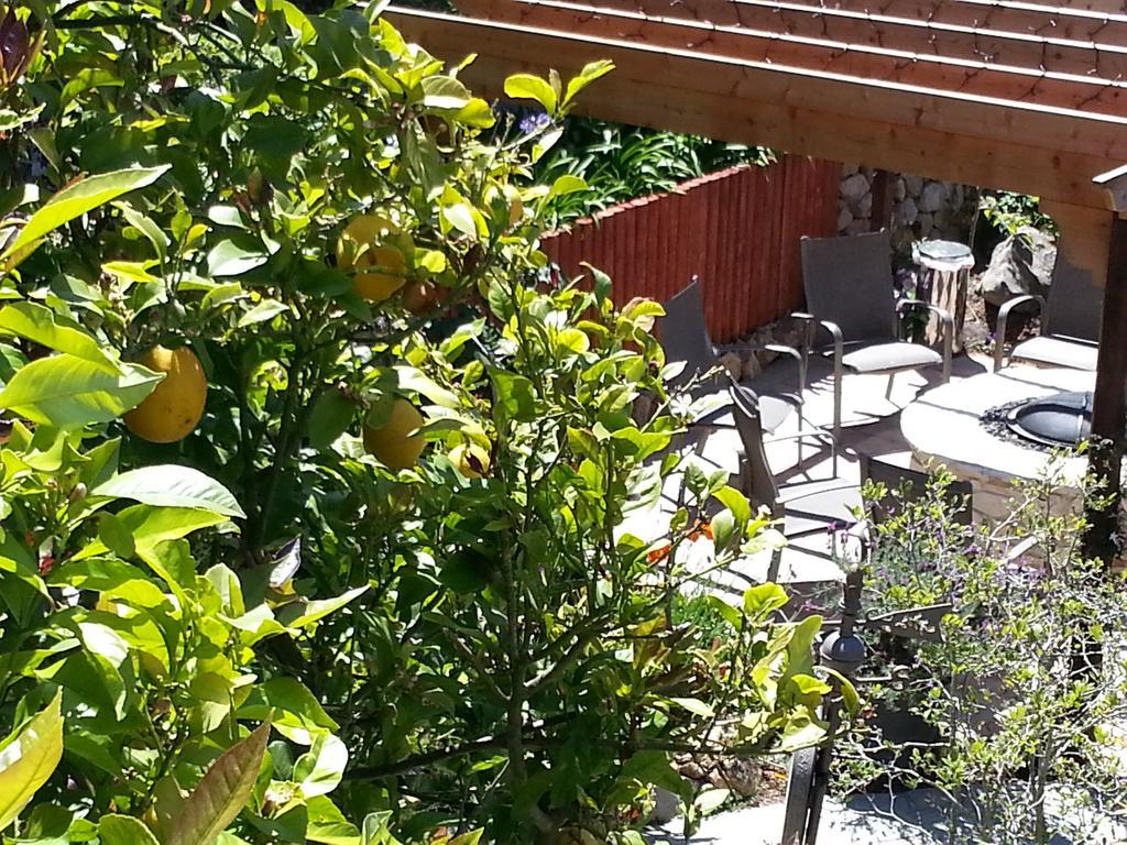 The Vendange Carmel Inn & Suites Kültér fotó